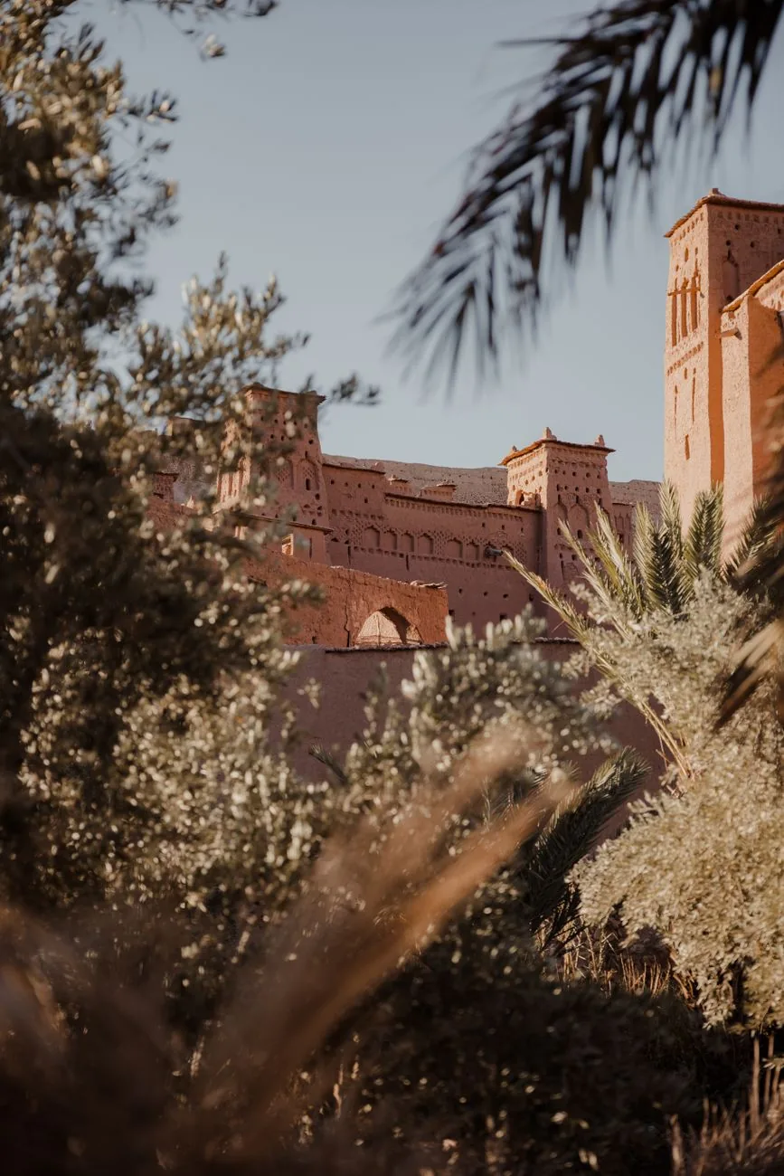Le ksar d’Aït Ben Haddou aperçu à travers des branches d’oliviers