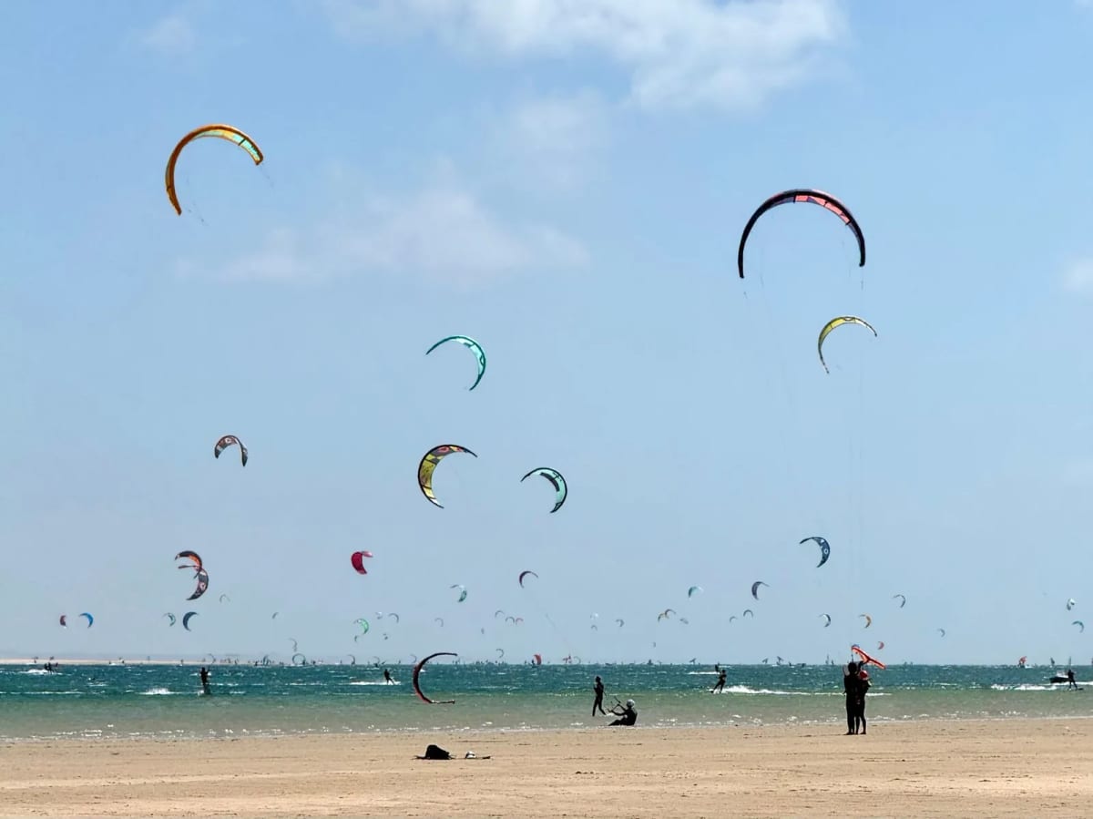 Dizaines d’ailes de kitesurf au-dessus de la plage d’Essaouira, poussées par les alizés