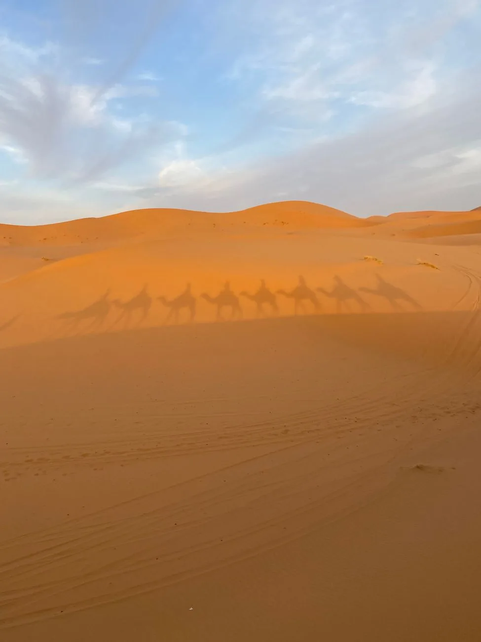 Caravane de dromadaires et leurs ombres allongées sur les dunes de l’erg Chebbi