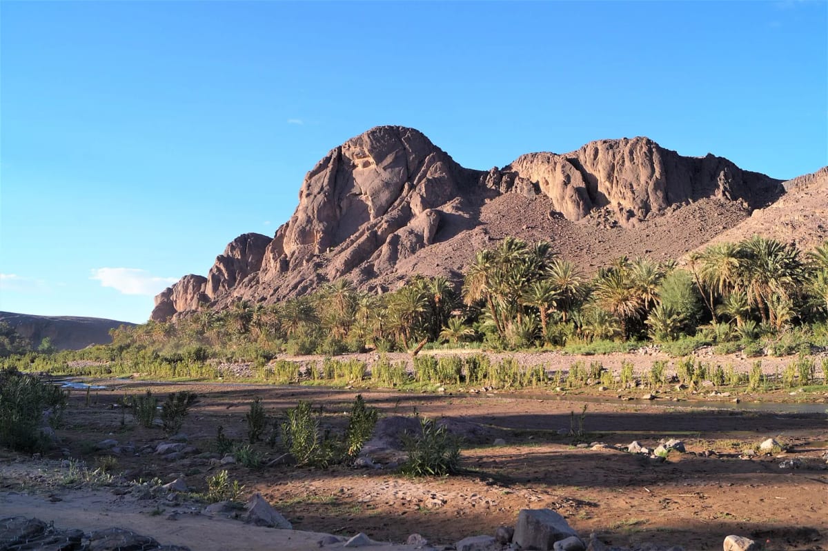 Palmeraie de l’oasis de Fint au pied des roches, près d’Ouarzazate