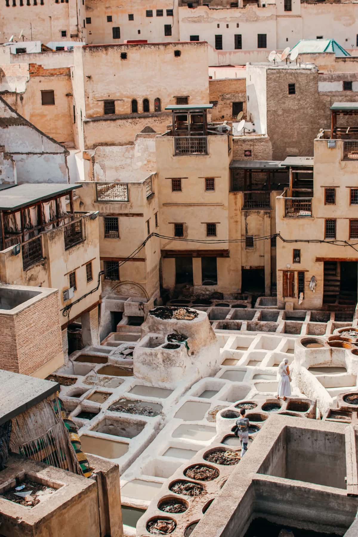 Tanneries Chouara de Fes, Maroc