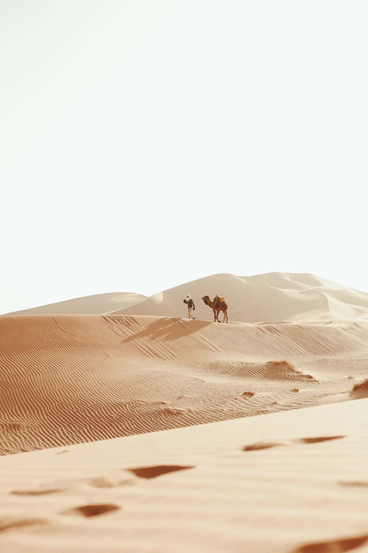 Merzouga & Désert