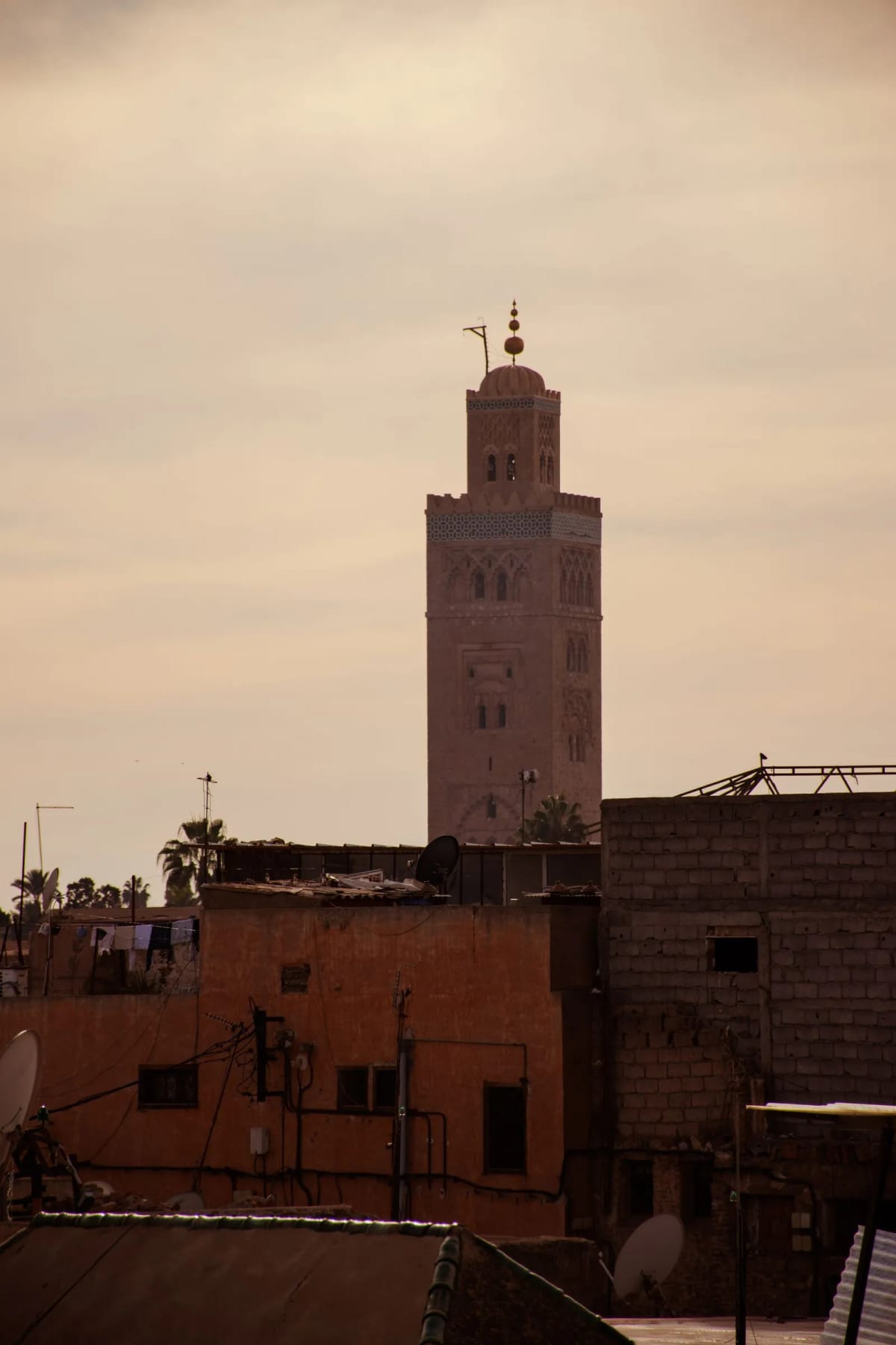 Minaret de la Koutoubia et toits de la médina de Marrakech