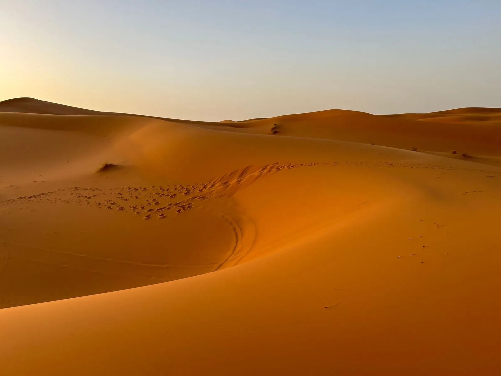 Dunes de l’Erg Chebbi au lever du soleil, Merzouga
