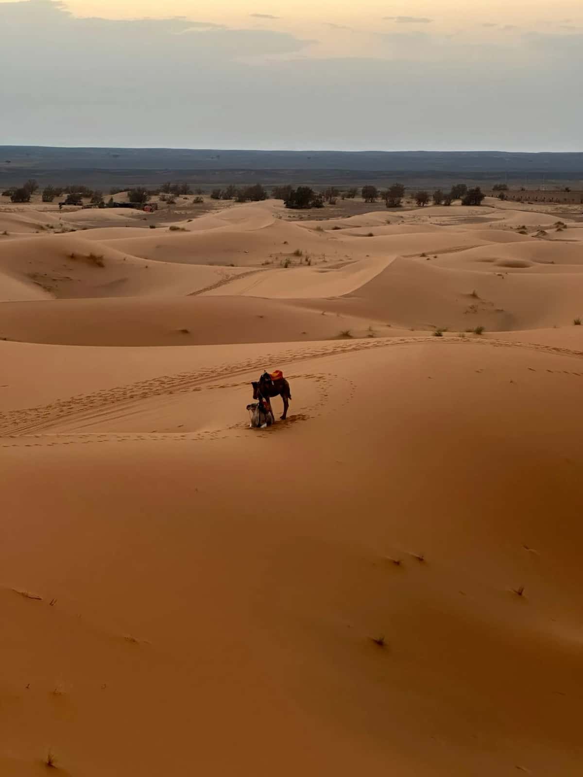 Quand partir au Maroc ? Saisons, météo et mois idéaux par région