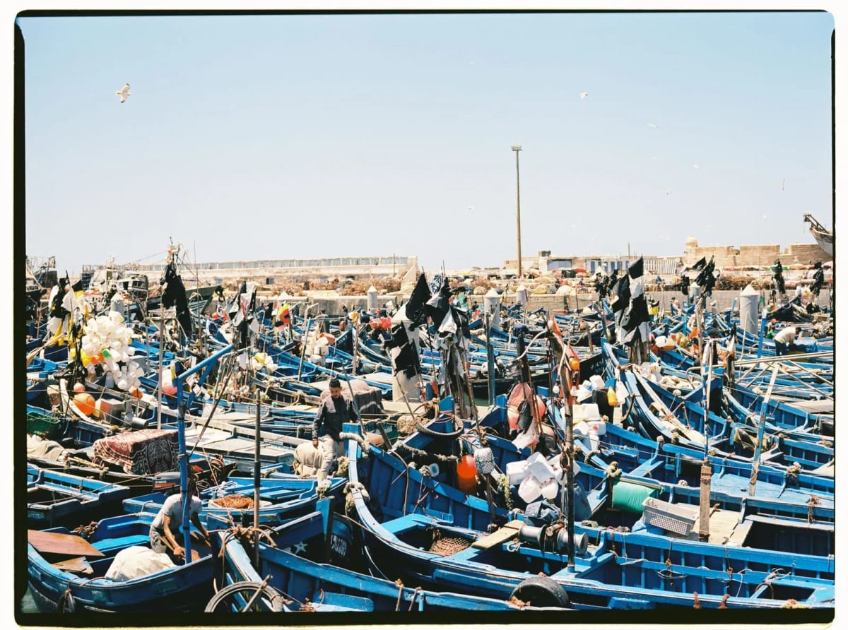 Barques de pêche bleues dans le port d’Essaouira, Maroc