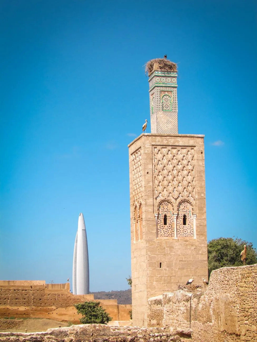 Minaret du Chellah à Rabat surmonté de nids de cigognes, tour Mohammed VI au loin