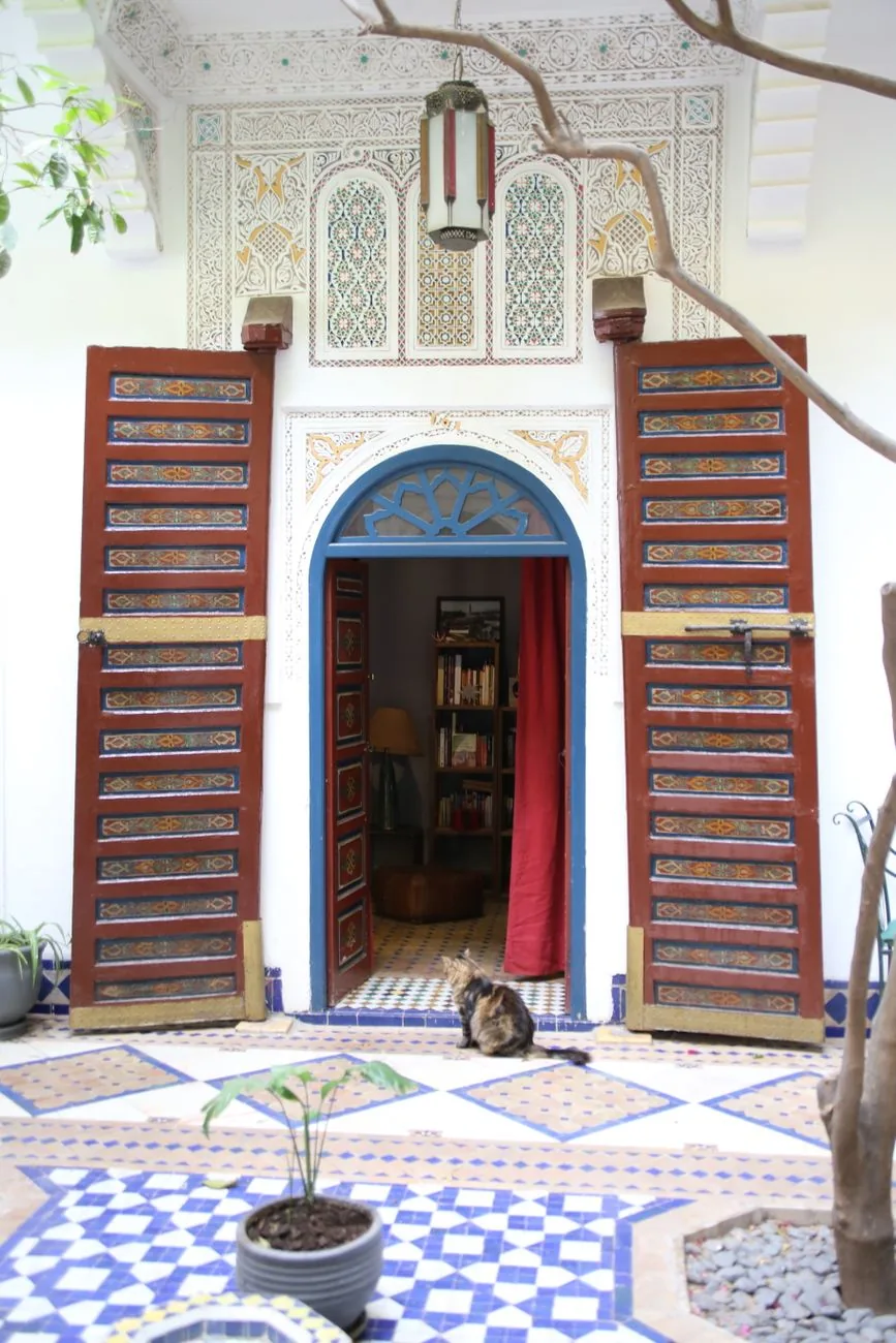 Porte de riad ouverte sur un patio en zellige, un chat assis sur le seuil, Maroc